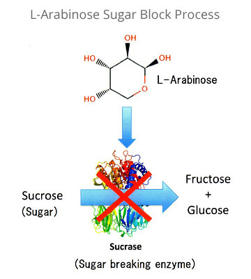 L-Arabinose Sugar Block Process